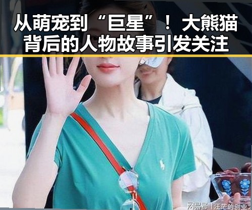 从萌宠到“巨星”！大熊猫背后的人物故事引发关注