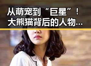 从萌宠到“巨星”！大熊猫背后的人物故事引发关注