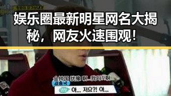 娱乐圈最新明星网名大揭秘，网友火速围观！